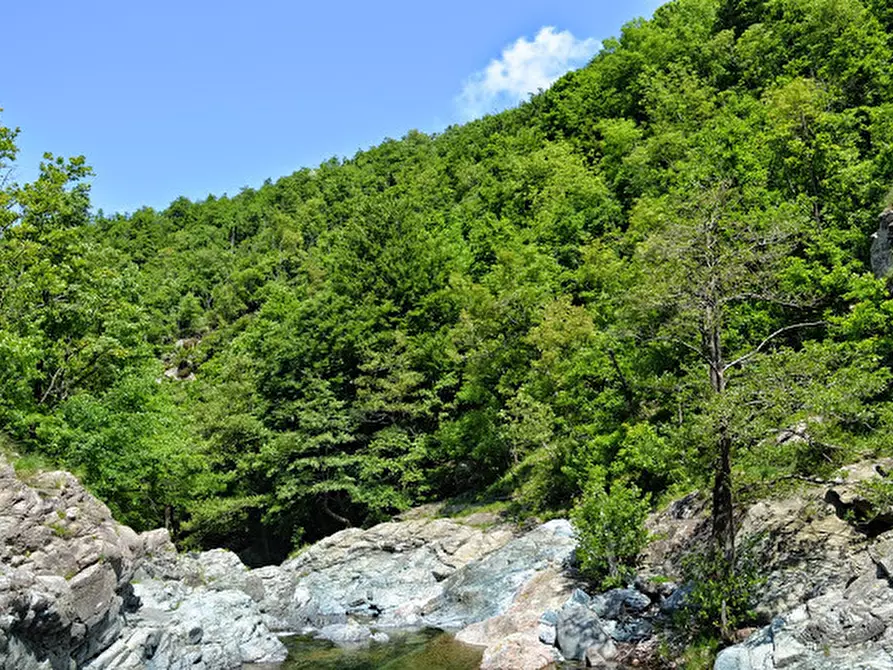 Immagine 28 di Rustico / casale in vendita  in Via Dano a Sassello