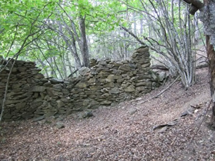Immagine 2 di Terreno agricolo in vendita  a Sassello