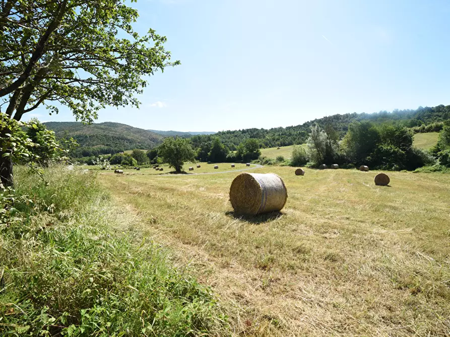 Immagine 35 di Casa trifamiliare in vendita  in località GROSSA a Sassello