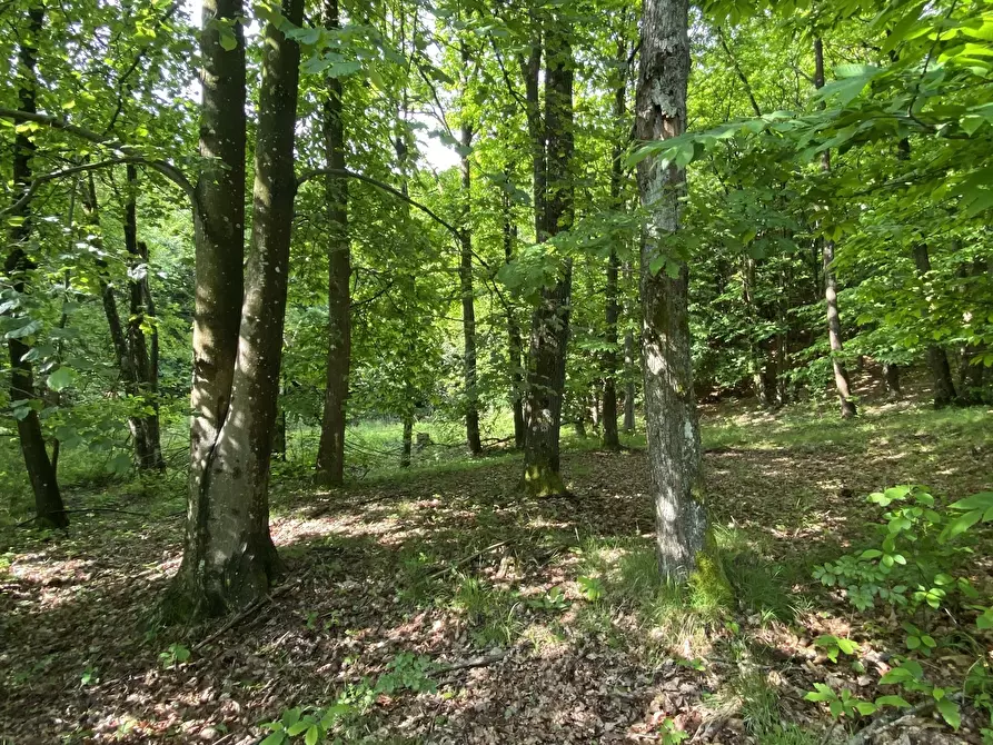 Immagine 4 di Casa indipendente in vendita  in Via Monterosso 11 a Tiglieto