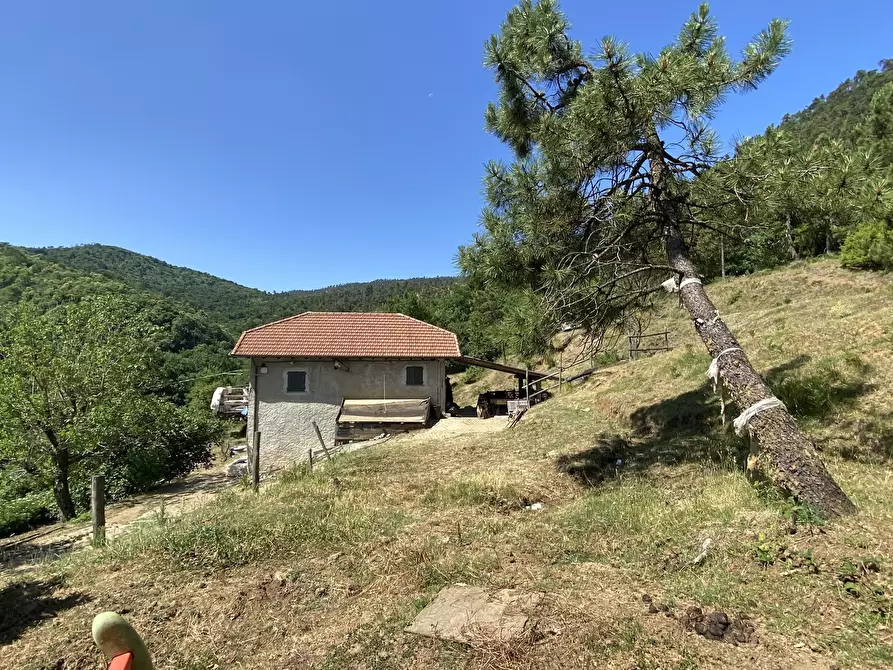 Immagine 3 di Rustico / casale in vendita  in Località Bonuzzo 22 a Sassello