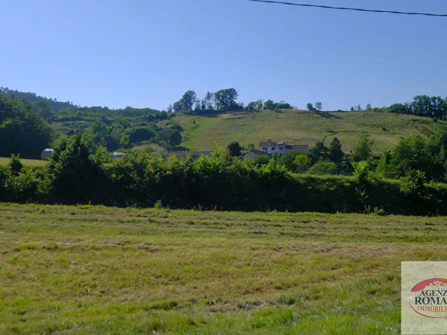 Immagine 26 di Casa trifamiliare in vendita  in località GROSSA a Sassello