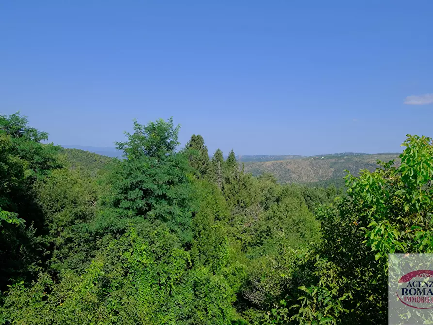 Immagine 34 di Terratetto in vendita  in Via Chiesa, 34 a Sassello