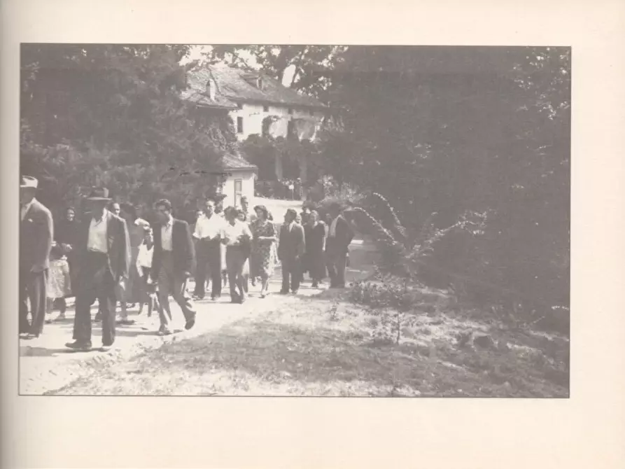 Immagine 57 di Casa indipendente in vendita  a Molare