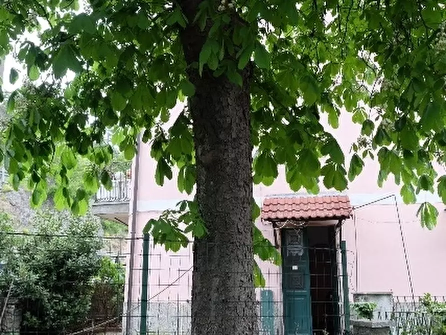 Immagine 18 di Appartamento in vendita  a Tiglieto