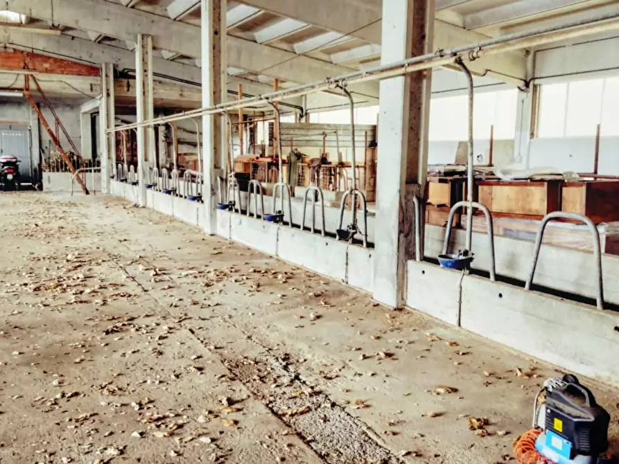 Immagine 44 di Casa indipendente in vendita  a Varazze