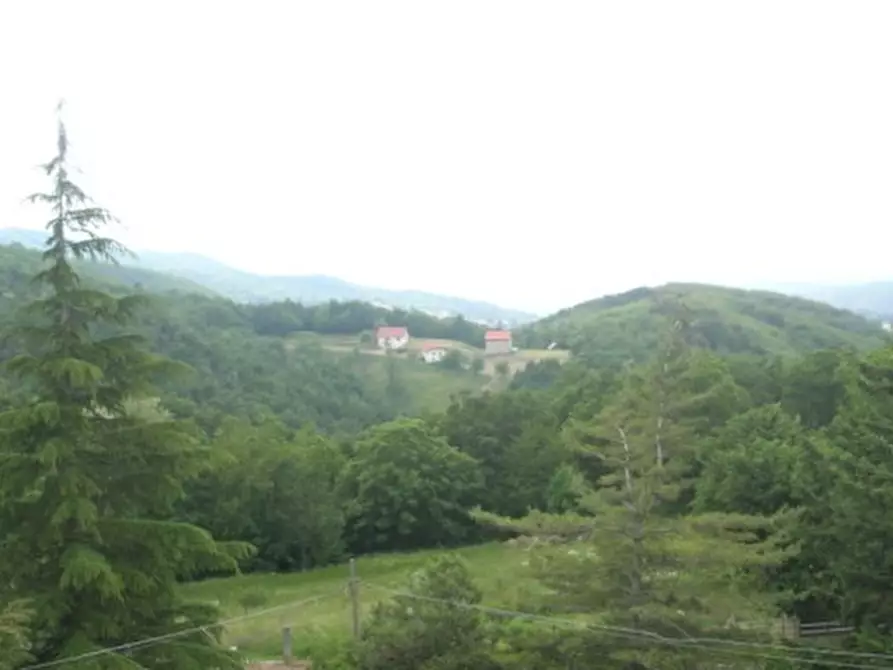 Immagine 21 di Quadrilocale in vendita  a Sassello