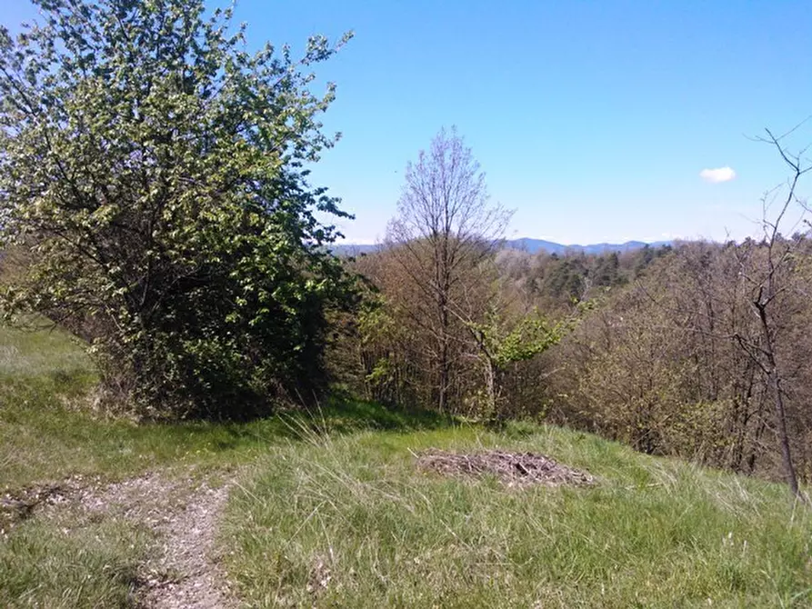 Immagine 19 di Rustico / casale in vendita  a Giusvalla