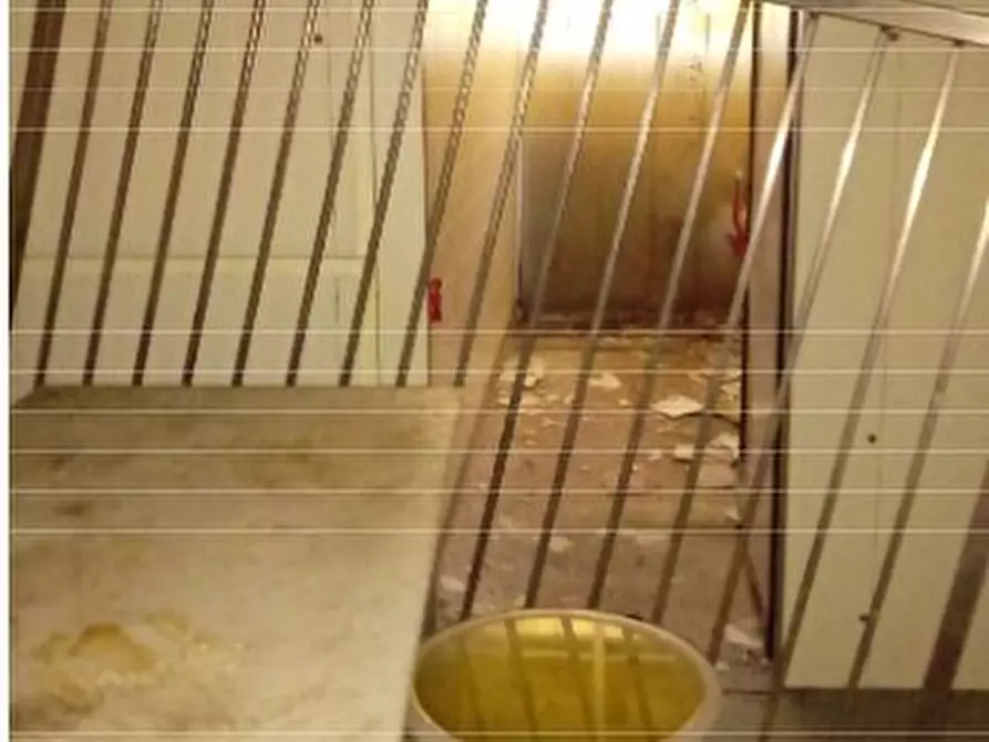 Immagine 7 di Attività artigianale in vendita  in Via Battista Trucco R a Campomorone