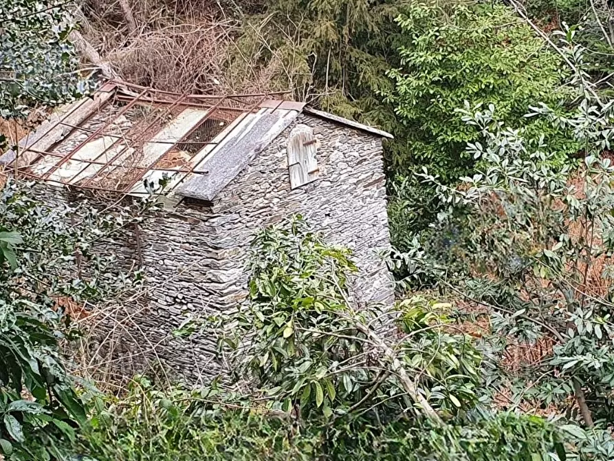 Immagine 12 di Villa in vendita  in Via Perelli Paradisi 4 a Premeno