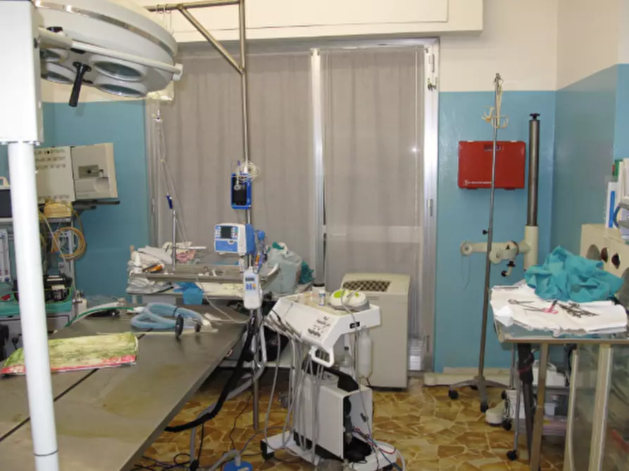 Immagine 3 di Locale commerciale in vendita  in Via Alessandro Magnasco 1 a Serra Riccò