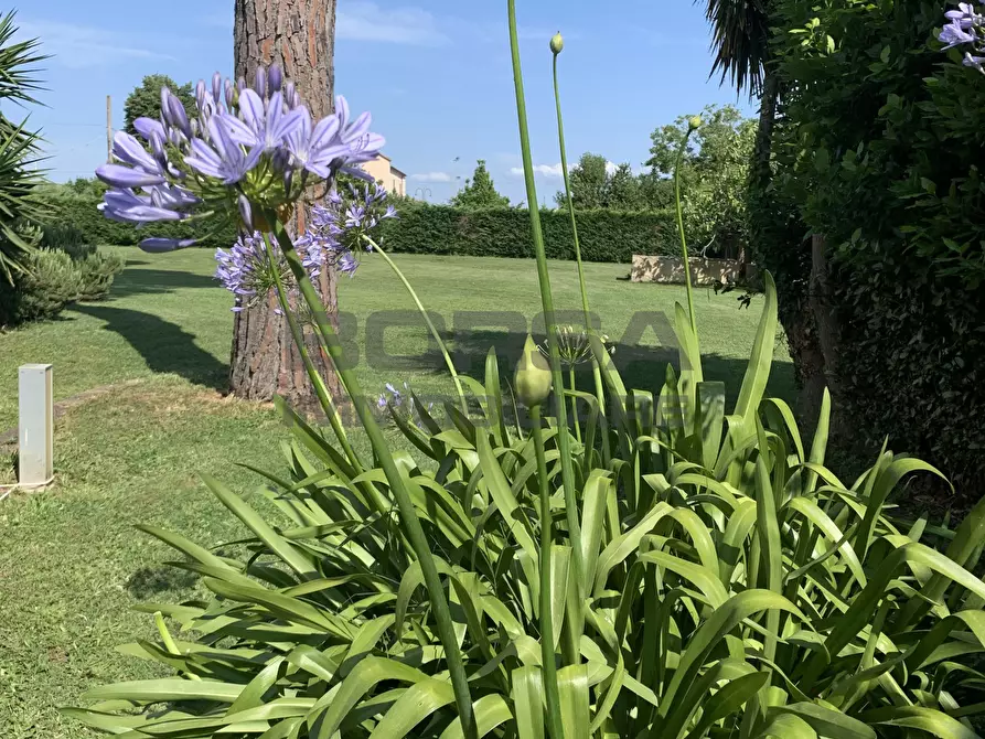 Immagine 45 di Villa in vendita  in Via della chiesa 10 a Cascina