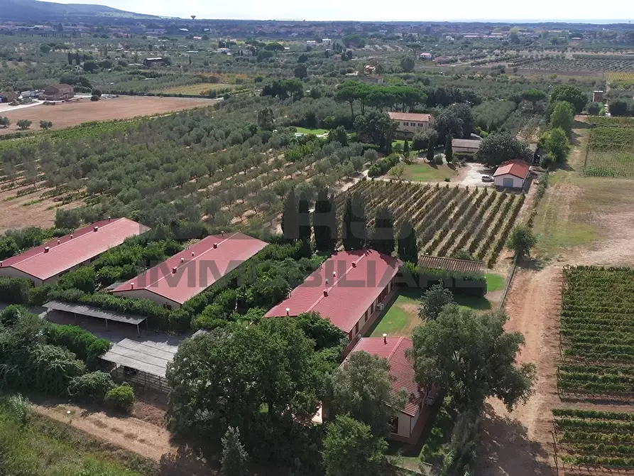 Immagine 7 di Terratetto in vendita  in greppi cupi 212 a Castagneto Carducci