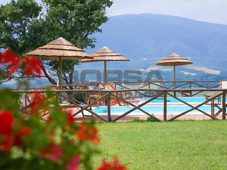 Immagine 19 di Terratetto in vendita  in via della camminata a Guardistallo