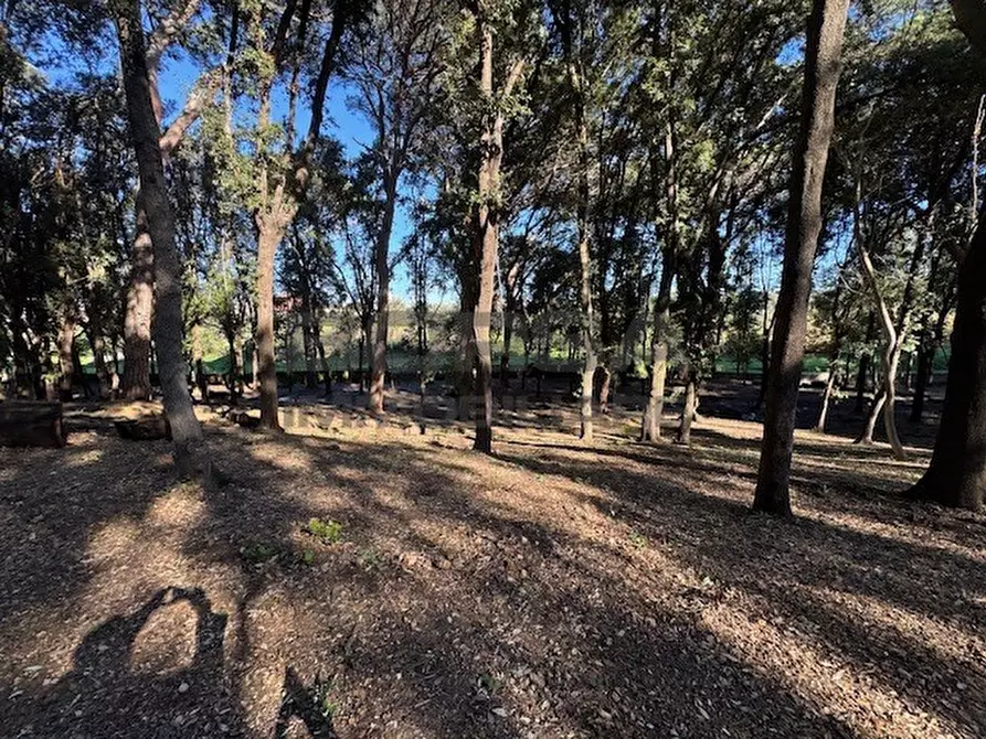 Immagine 7 di Terratetto in vendita  in Via Ombrosa 8 a Livorno