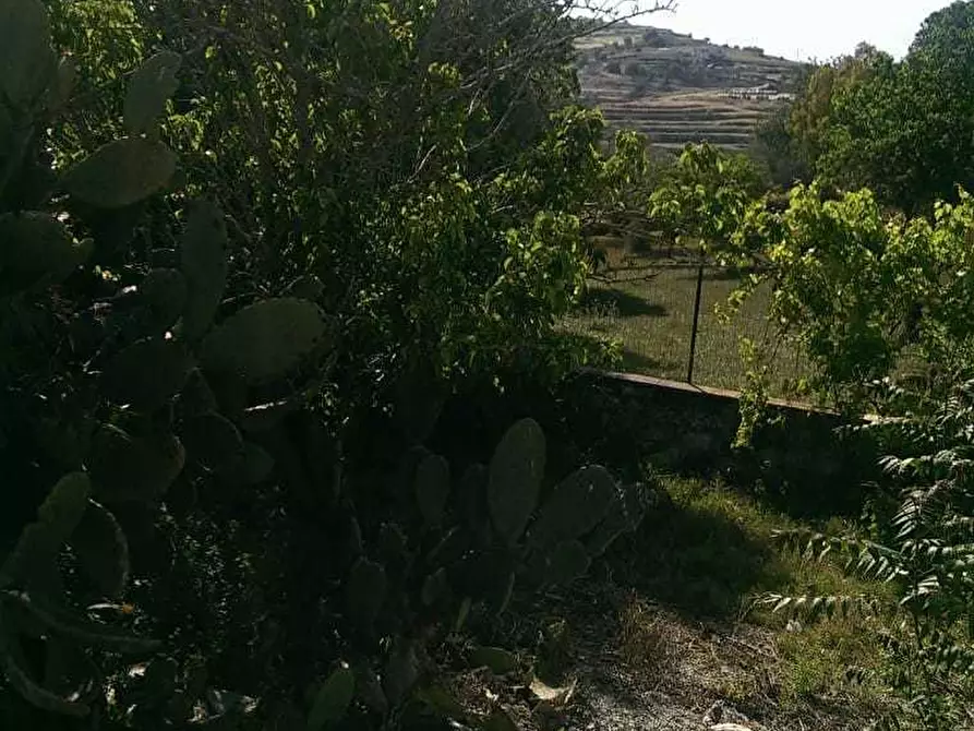 Immagine 4 di Rustico / casale in vendita  a Ragusa