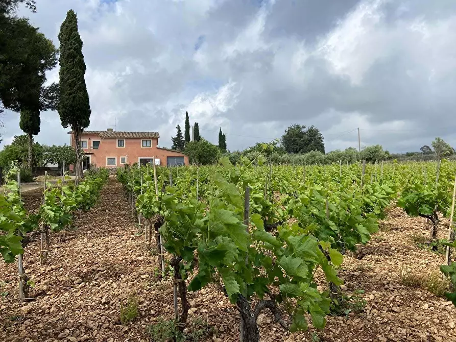 Immagine 2 di Villa in vendita  a Chiaramonte Gulfi