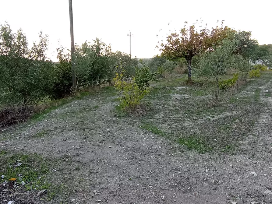 Immagine 33 di Casa bifamiliare in vendita  a Ragusa