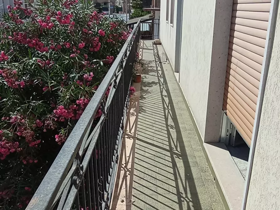 Immagine 14 di Pentalocale in vendita  a Scicli