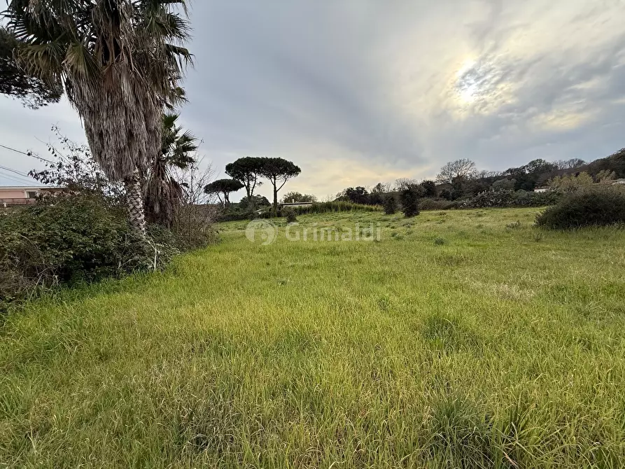 Immagine 5 di Terreno edificabile in vendita  in VIA CENTOCELLE 1 a Anzio