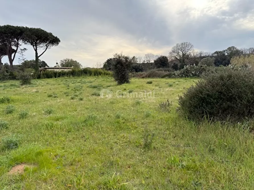 Immagine 16 di Terreno edificabile in vendita  in VIA CENTOCELLE 1 a Anzio