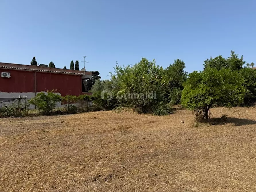 Immagine 7 di Terreno edificabile in vendita  in Via Viminale a Nettuno