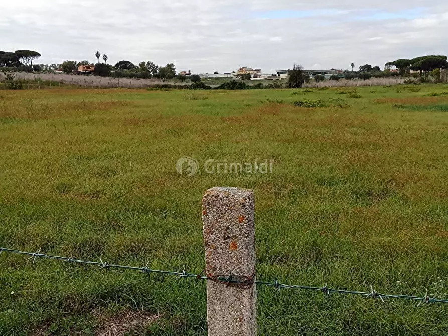 Immagine 8 di Terreno agricolo in vendita  in Via del Pino a Nettuno