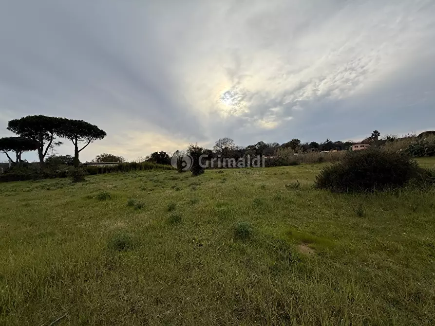 Immagine 8 di Terreno edificabile in vendita  in VIA CENTOCELLE 1 a Anzio