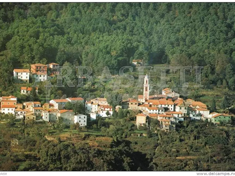 Immagine 2 di Porzione di casa in vendita  in Via Gianelli 72 a Carro