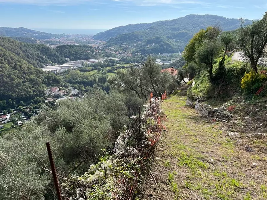 Immagine 11 di Terratetto in vendita  in Via Colla 8 a Carasco