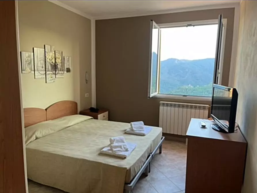 Immagine 6 di Albergo/B&B/Residence in vendita  in Via Giacomo Leopardi 10 a Carro
