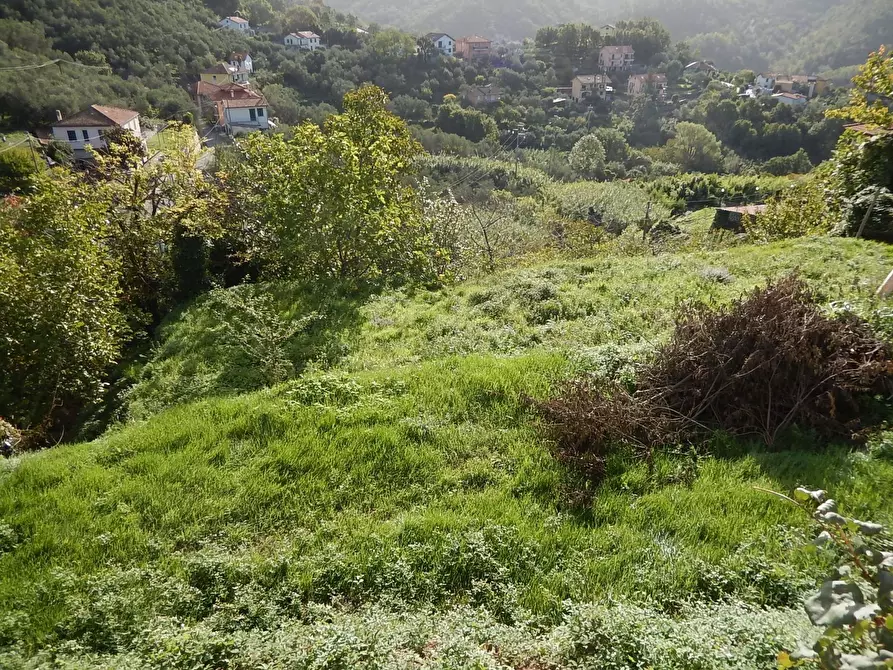 Immagine 11 di Trilocale in vendita  in Via Carotole 26 a Castiglione Chiavarese