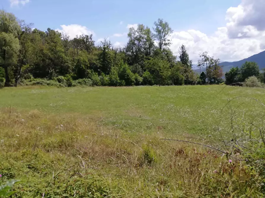Immagine 9 di Agriturismo in vendita  in Località Cavizzano 13A a Varese Ligure