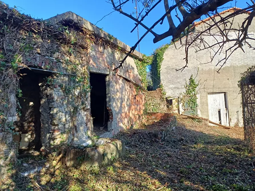 Immagine 13 di Rustico / casale in vendita  in Via Olivella Caminata 17 a Casarza Ligure