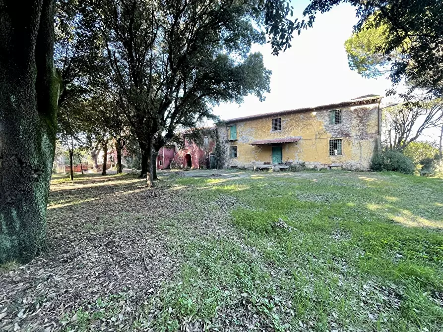 Immagine 2 di Villa in vendita  in Stagno a Collesalvetti