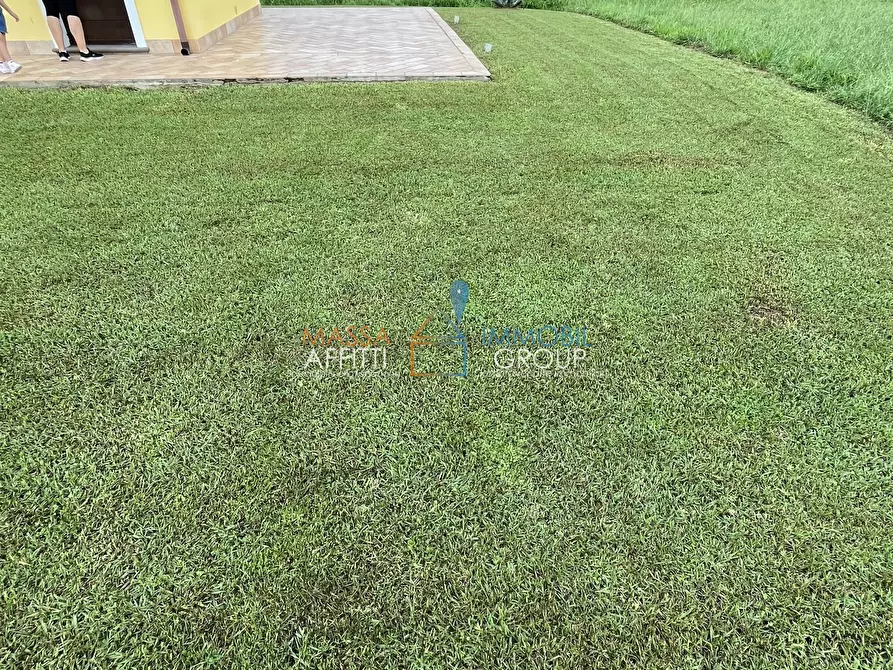 Immagine 12 di Terreno agricolo in vendita  in Via Nespolo 43 a Montignoso