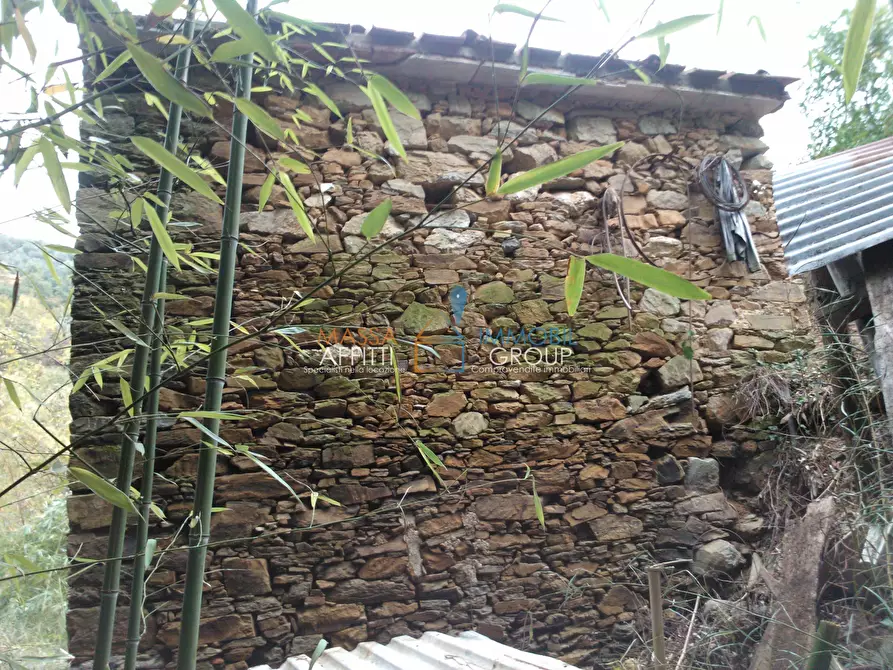 Immagine 4 di Rustico / casale in vendita  in Via Borgo Vallecchia 5 a Pietrasanta