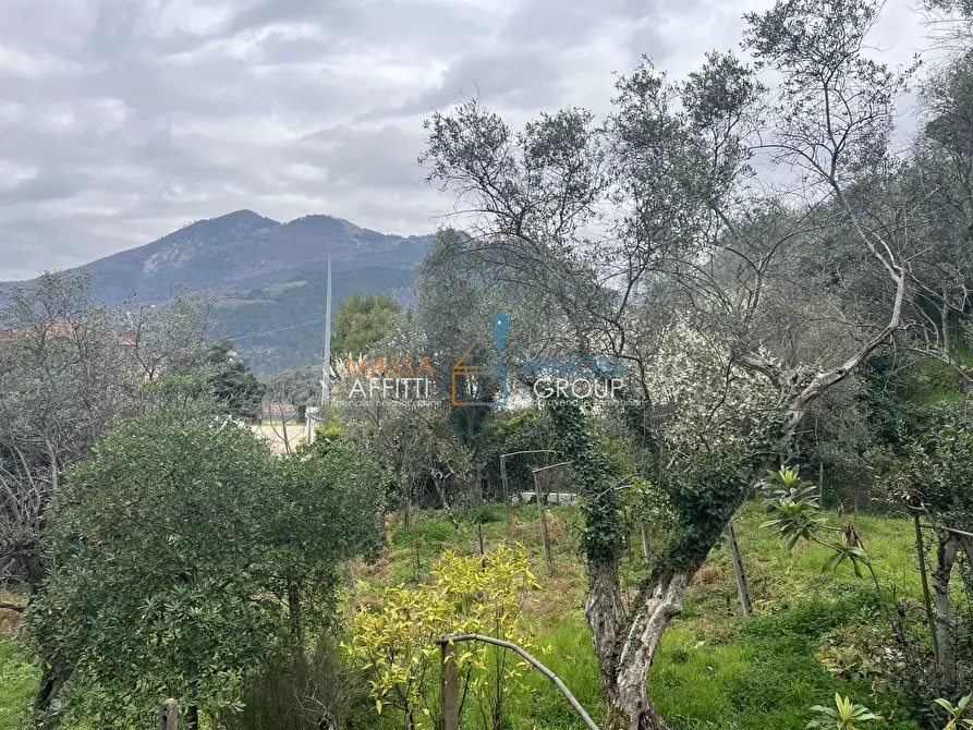 Immagine 15 di Villa in vendita  in Via Tecchioni 5 a Massa