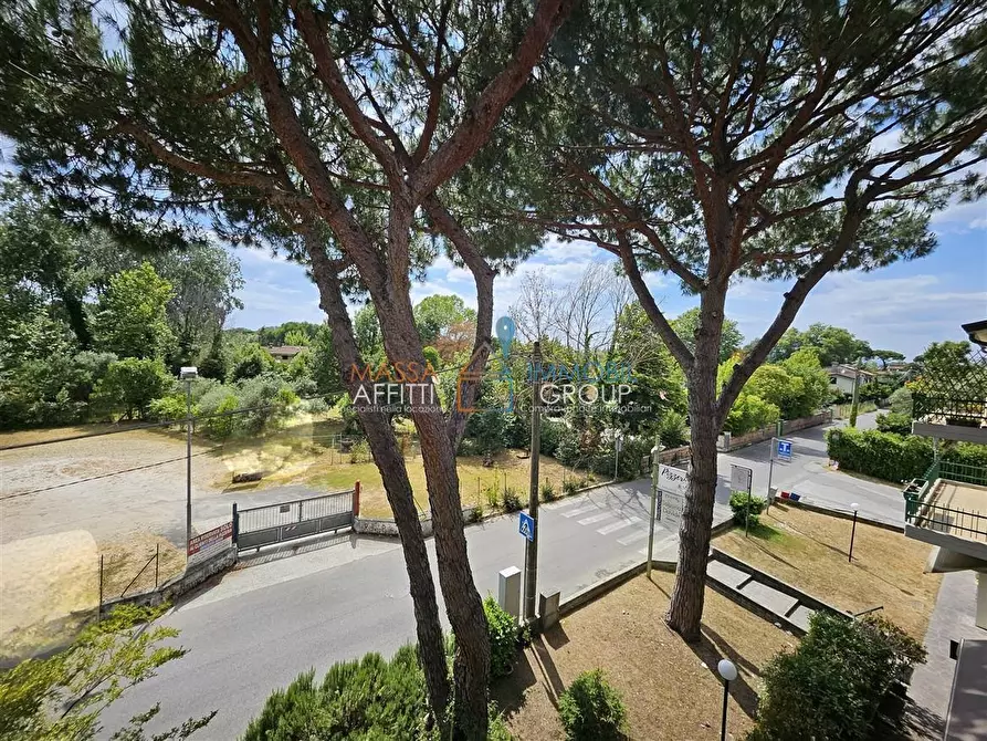 Immagine 11 di Quadrilocale in vendita  in Via Stradella 57 a Massa