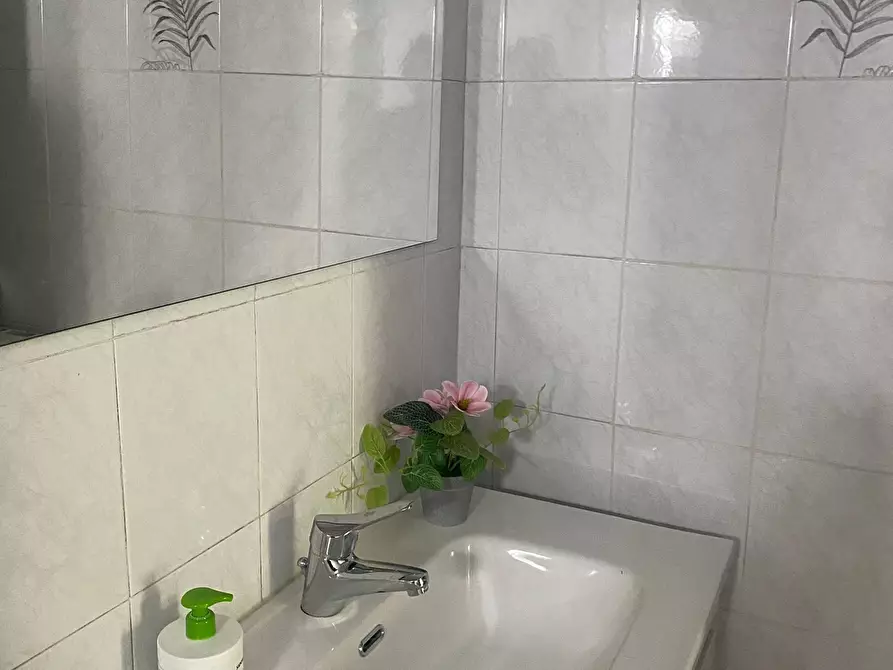 Immagine 9 di Trilocale in vendita  a Stellanello