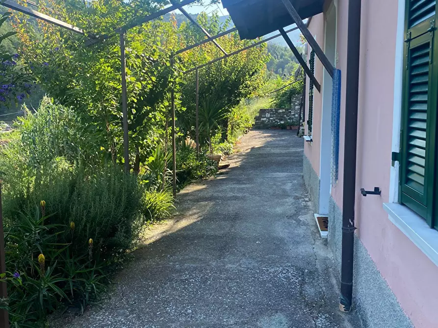 Immagine 11 di Trilocale in vendita  a Stellanello