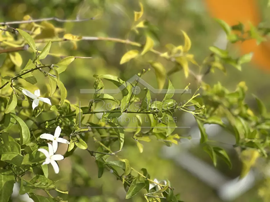 Immagine 9 di Trilocale in vendita  in Via Aurelia 20 a Loano