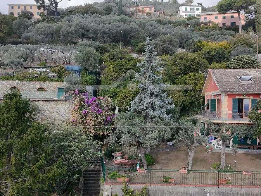 Immagine 65 di Casa indipendente in vendita  in Salvo D'Acquisto 70 a Recco
