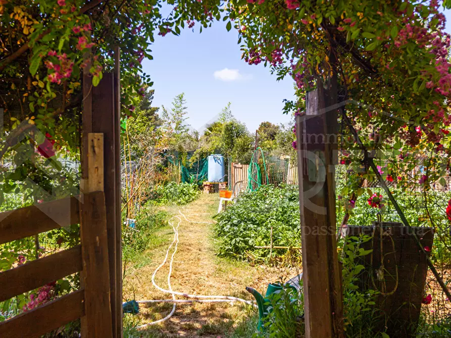 Immagine 13 di Terreno agricolo in vendita  in Via dell'Uliveta a Livorno