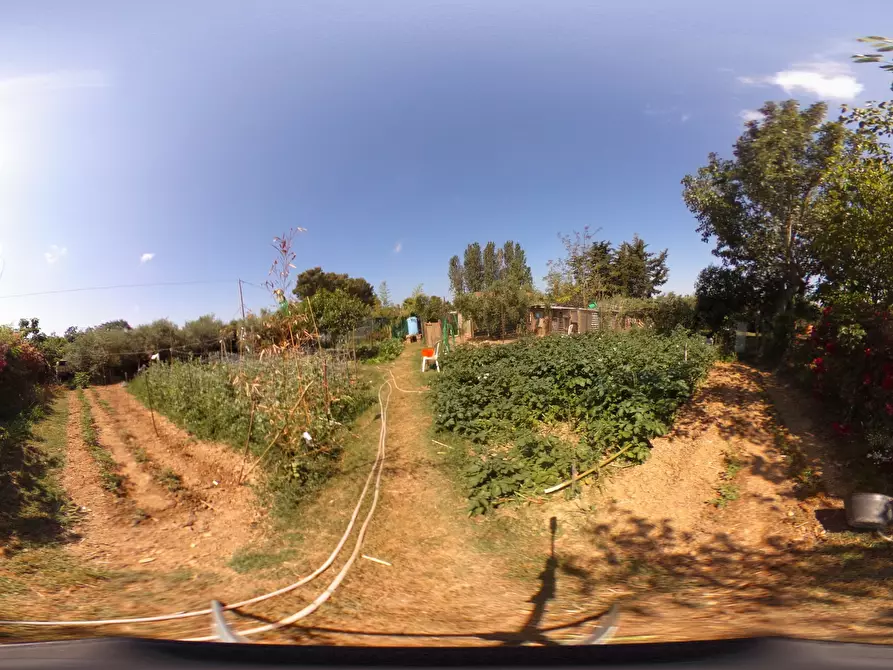 Immagine 22 di Terreno agricolo in vendita  in Via dell'Uliveta a Livorno