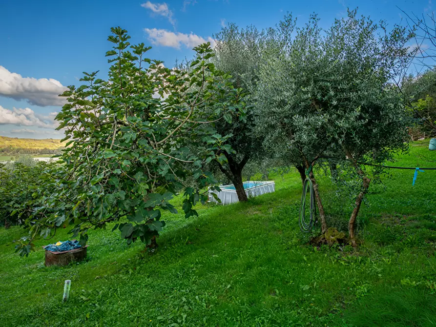 Immagine 2 di Villa in vendita  in Via Delle Corti a Collesalvetti