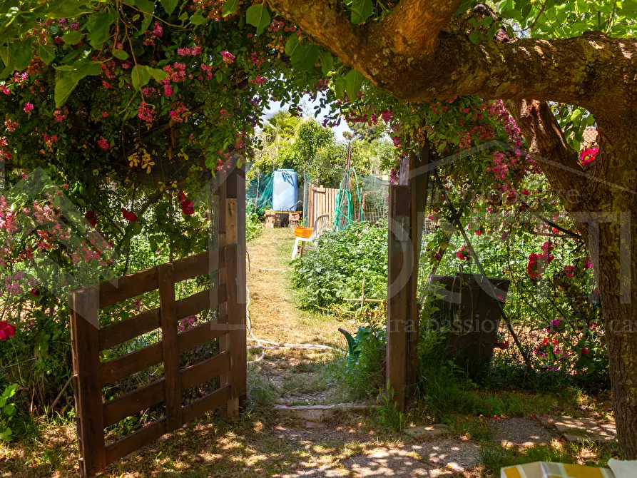 Immagine 5 di Terreno agricolo in vendita  in Via dell'Uliveta a Livorno