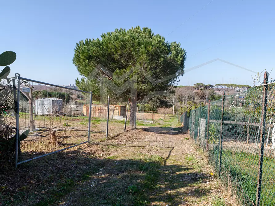 Immagine 3 di Terreno agricolo in vendita  in Via delle Sorgenti a Livorno