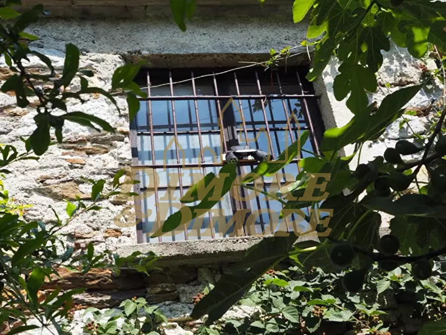 Immagine 55 di Baita in vendita  a Valle Cannobina