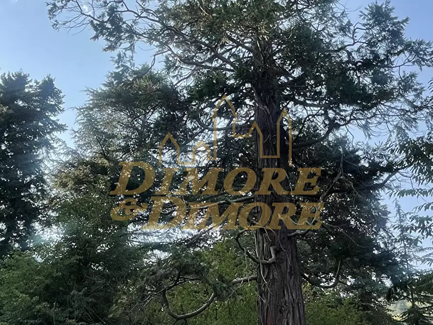 Immagine 65 di Palazzo in vendita  in Via Fontana 3 a Varzo